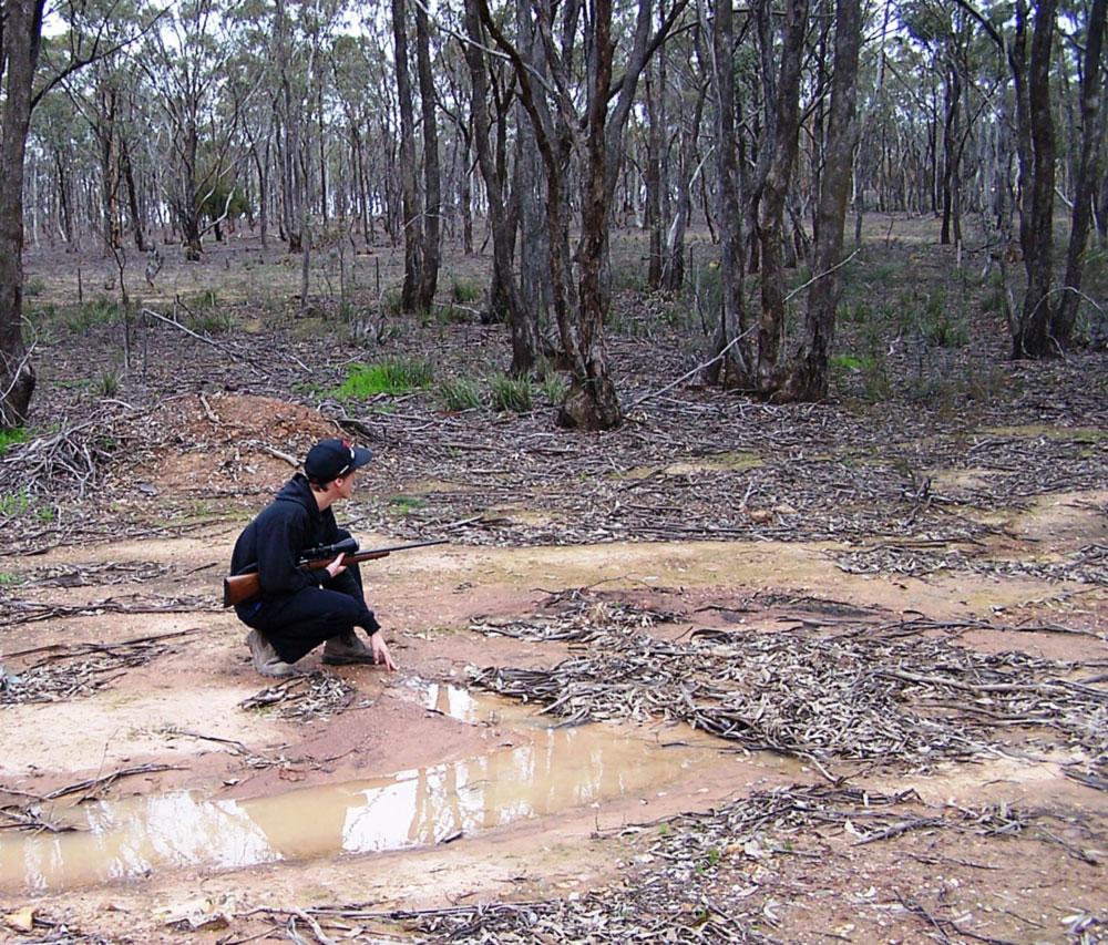 SSAA Bendigo Hunting